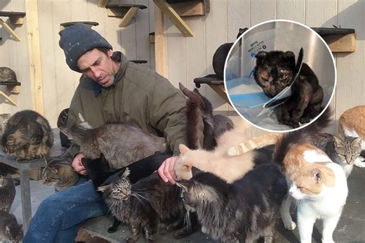 Happy Cat founder's daughter asserts legal control of Medford sanctuary