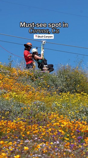 Skull Canyon on TikTok