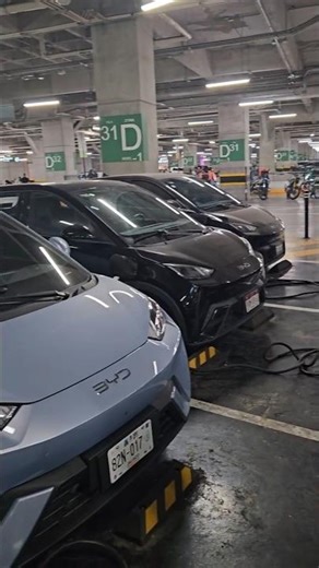 ⚡El boom del BYD Dolphin Mini es REAL; 3 cargando al mismo tiempo