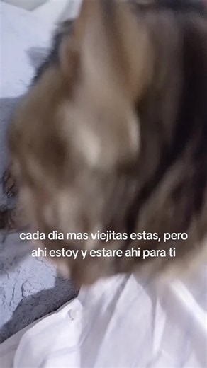 siempre te voy a querer y cuidar #gatos #gat #amor #siempre