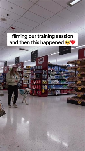 Educational Service Dog Training Session and Interaction