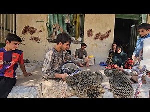 Nomads to Villagers: Our First Wild Honey Harvest