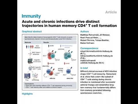 804-Fates and Trajectories of Human Memory CD4+T Cells