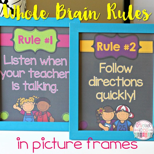 Whole Brain Teaching: Rules That Make Sense
