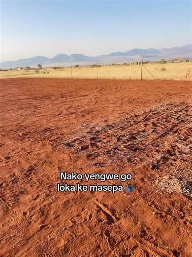 Nako yengwe go loka ke masepa: Gabotse batho geo sega