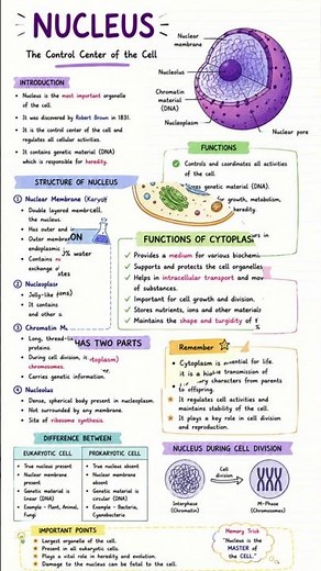 Cell Structure and Function Explained 🔬 | NEET Biology