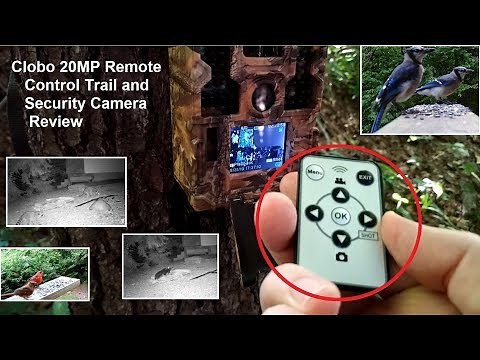 Clobo 20MP Trail Camera Test - Wildlife and Security CAM Review