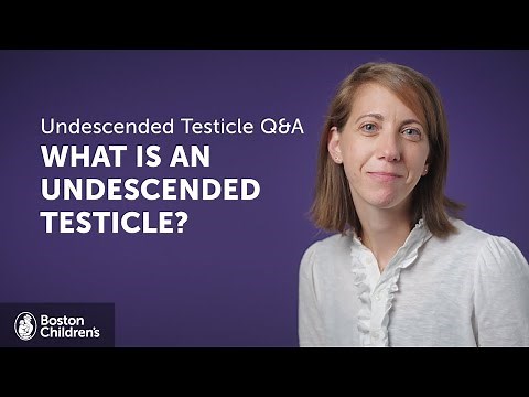 What is an undescended testicle? | Boston Children's Hospital