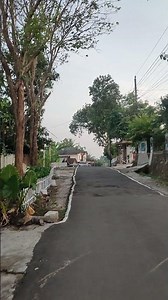 Shorts Pocon and Tuyul #java #gunungkidul #banks