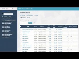 The video demonstrates how to instal and use ARI Adminer WordPress plugin