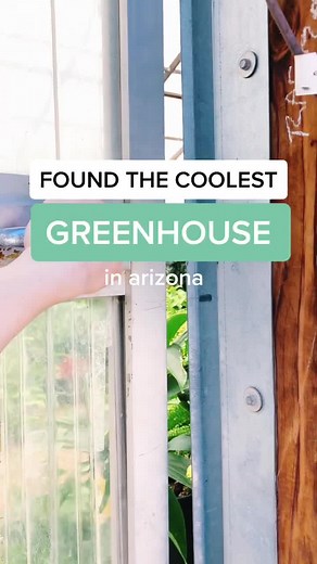 Explore the Greenhouse Paradise at Sun Valley Nursery in Phoenix