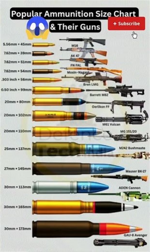 Bullet Size Comparison 😱 Small to Monster 30mm!