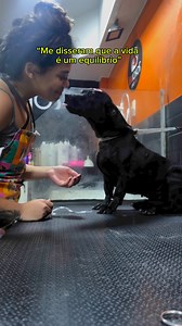 26K views · 1.3K reactions | Equilíbrio  @estercarv4lh0 @BsBichos #pets #fyp #petshop #cachorro #pet #cachorrosdotiktok | Ester Carvalho | Facebook