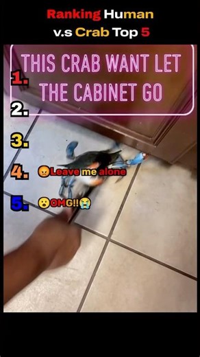 Ranking Human vs Crab Top 5 Moments #ranking #funny #crab