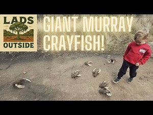 Aussie Bush Adventure: Chasing GIANT Crayfish!