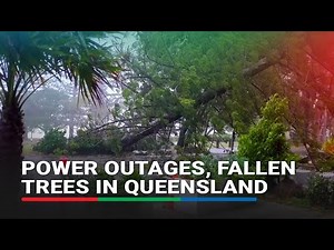 Residents grapple with power outages, fallen trees after storm lashes southeast Queensland