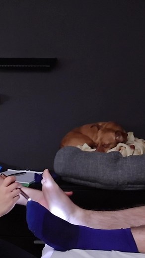 Chili B ASMR on TikTok