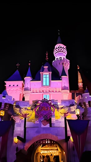 A day at Disneyland: Fun moments and magical memories