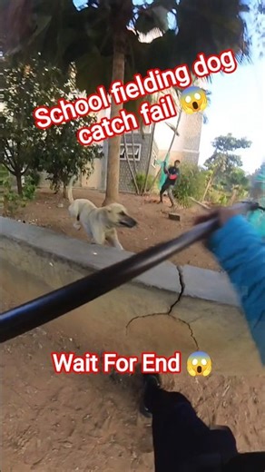 Nepali Dog Catcher Fails #fail #dog #dogwithpublicsafety #ytviral #pets