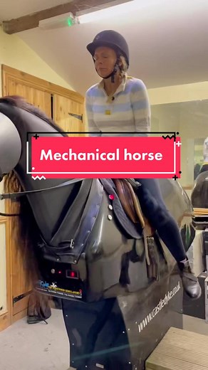 Riding the Mechanical Horse: A Unique Equestrian Experience
