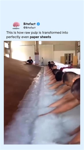 Bitofact on Instagram: "Paper starts as raw wood pulp mixed with water until it becomes a thin, watery slurry. Workers then spread this pulp over giant mesh screens, shaking and lifting the huge frame to let the water drain while leaving a perfectly even layer of fibers on top. As the excess moisture escapes, those fibers lock together — creating the flat, uniform sheet that eventually becomes paper. Wild how something so simple becomes something we use every day, right? Why does such a massive 