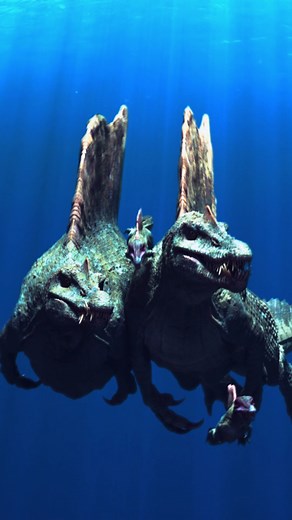 Spinosaurus is often shown swimming in deep open water in popular videos—but that’s not entirely accurate. Based on current fossil evidence, Spinosaurus likely lived a semi-aquatic lifestyle in swampy river systems, floodplains, and shallow waterways of what is now North Africa, around 95 million years ago. Its dense bones helped it stay submerged, and its long, crocodile-like snout was built for catching fish. It also had a large, flexible tail—ideal for paddling through shallow water, not long