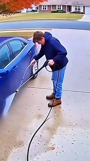 Animals that attack humans for no reason _animals _facts _wildlife _shortsvideo _viralshorts | Animals World