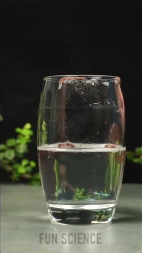 See This Eggshell Disappear Like MAGIC! #shorts