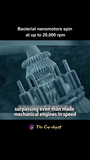 The Curiologist | Bacterial Nanomotors Explained Simply Inside the human body, certain bacteria move around using tiny structures called nanomotors, which... | Instagram