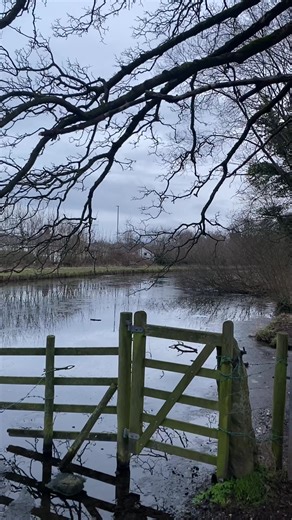 The Lancaster Canal at Bolton le Sands thawing this morning. #morecambebay #podcast #canal #january