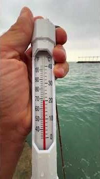 Sea temperature in Crimea today, October 8, 2025. Weather in Crimea, Katsiveli beach, RT-22 #Crim...
