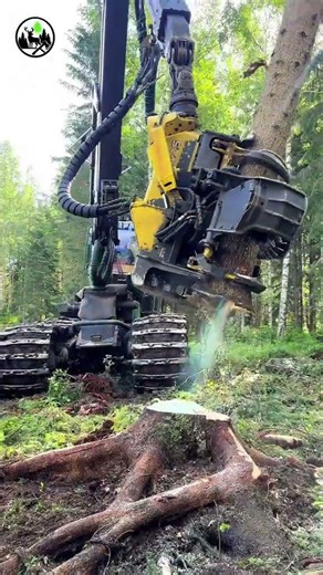 From start to finish.🌲 A perfect spruce felling. 🌲🎧 John Deere 1270G #forestry #logging #harves