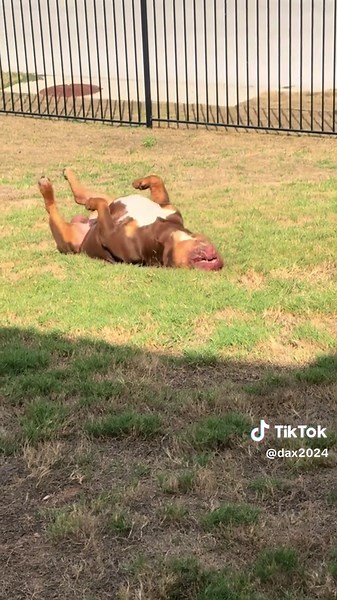 Doing a little sunbathing until I got too hot. 🥵 #fyp