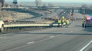 2.2M views · 127K reactions | The Shoshone Bannock Tribes Fish and Game report that they successfully relocated more than 500 elk across I-15 on Sunday. More from them here: https://www.facebook.com/shobanfishandgame/videos/613357313733711/ | East Idaho News | Facebook