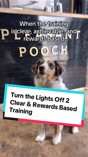 Clear and achievable training steps and rewarding our dogs for getting things right are a must for any good training program! #turnthelightsoff #dogtraining #rewards #puppytraining #dogmomsoftiktok