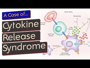 Cytokine Release Syndrome