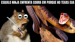 1.8M views · 18K reactions | Vídeo autorizado exclusivamente para uso...