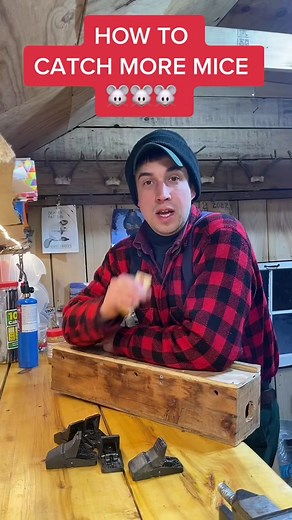 3 Easy Ways to Increase Your Mouse Catch Success