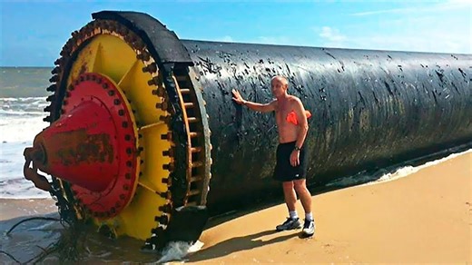 10 Strange Finds On The Beach You Must See