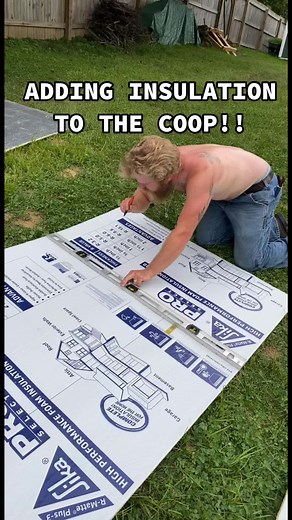 Turning a shed into a chicken coop! Part 3! Adding insulation!! #backy...
