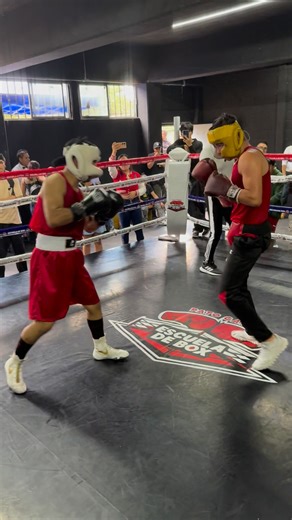 🥊💪💥🔥 (Team Pato Gámez) 🇲🇽 #BoxeoMexicano #TeamPatoGamez #EntrenaDuro #Disciplina #Sparring #BoxeoJuvenil #BoxeoCDMX #GuerrerosDelRing #BoxeadoresMexicanos | Box Ova