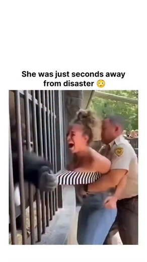 picpac2026 | The post features a 35-second prank video of muscular men in streetwear being playfully spun by a smaller stranger in an urban park,... | Instagram