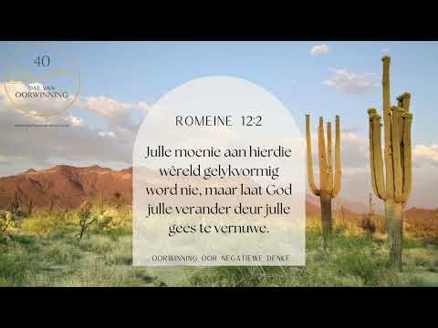 40 DAE VAN OORWINNING #21