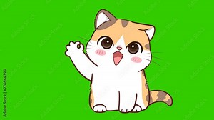 okay animation, cute cat on green screen