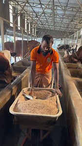 143K views · 707 reactions | Cows are being fed healthy food by mixing grains with water #technology #feed #Bangladesh #reelsfb | Cow Lovers Zinzira | Facebook