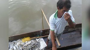 El desastre ambiental de la Ciénaga Grande de Santa Marta