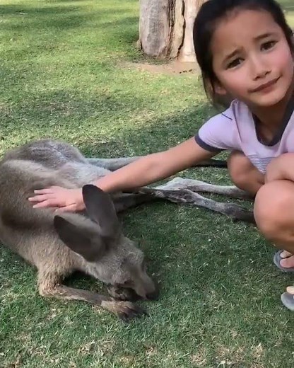 #kaylee hottle playing with a 🦘kangaroo #Godzilla vs kong little girl#jia #cute #lovely