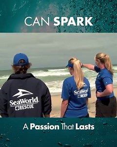 13K views · 524 reactions | Sometimes just one visit to our parks has the power to effect the future of our planet.  | SeaWorld | Facebook