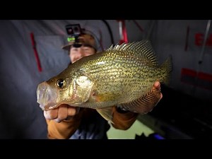 Ice Fishing Giant Crappie on the Mississippi River!