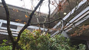 Businesses impacted by COVID-19 in Grants Pass eligible for financial assistance More: https://bit.ly/3h8rYWh | KTVL CBS 10 | Facebook